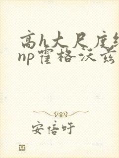 高h大尺度纯肉np霍格沃兹