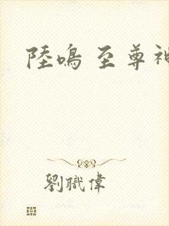 陆鸣 至尊神殿封面