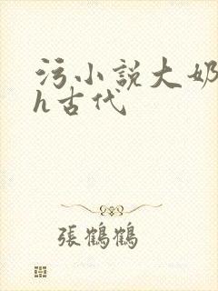 污小说大奶子高h古代封面