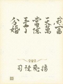 分手当天,我闪婚了亿万富豪小说版封面