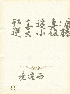 邪王追妻:废材逆天小姐听书封面