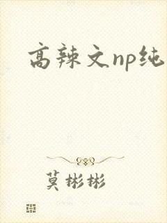高辣文np纯肉