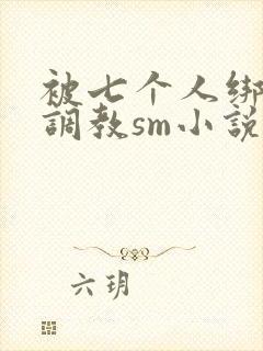 被七个人绑着玩调教sm小说
