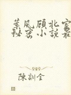 叶风顾北室友的秘密小说最新章节更