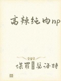 高辣纯肉np文