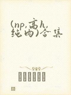 (np,高h,纯肉)合集