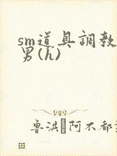 sm道具调教男男(h)