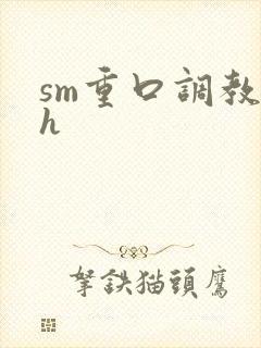sm重口调教高h封面