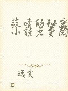 苏晴的秘密言情小说免费阅读