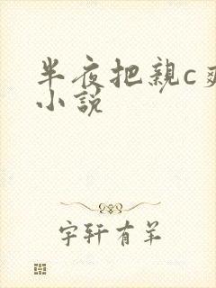 半夜把亲c爽了小说