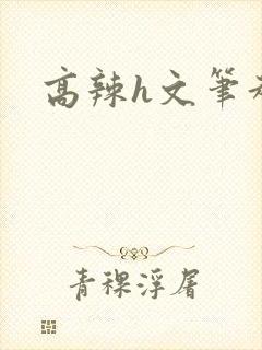 高辣h文笔趣阁