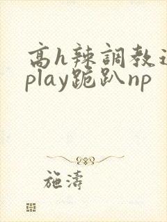 高h辣调教道具play跪趴np