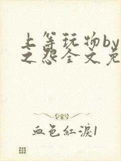 上等玩物by长之怨全文免费阅读笔趣阁封面