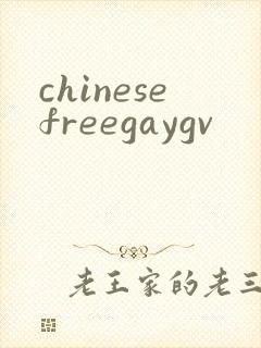 chinesefreegaygv