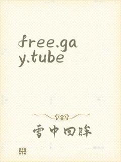 free.gay.tube封面