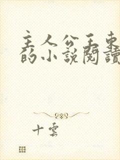 主人公王东唐潇的小说阅读封面