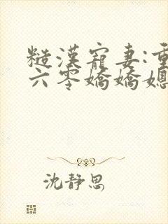 糙汉宠妻:重生六零娇娇媳