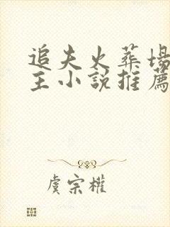 追夫火葬场双男主小说推荐