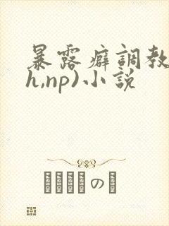 暴露癖调教(高h,np)小说