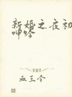 新婚之夜初次的呻吟