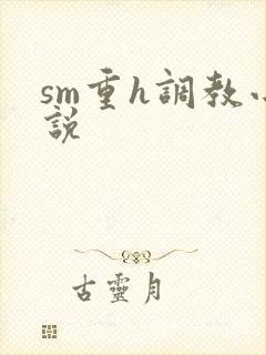 sm重h调教小说