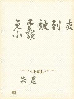 免费被到爽羞羞小说