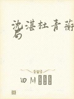 沈湛杜青蘅大结局封面
