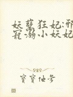 妖孽狂妃:邪君宠溺小妖妃