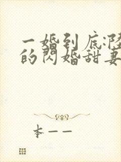 一婚到底:陆少的闪婚甜妻