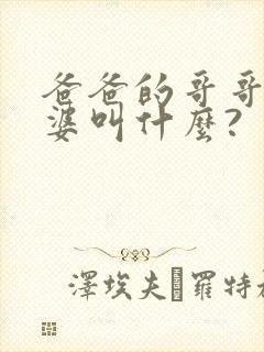 爸爸的哥哥的老婆叫什么?封面