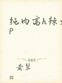 纯肉高h辣文np