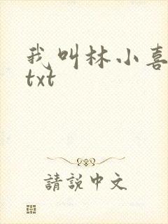 我叫林小喜全文txt封面