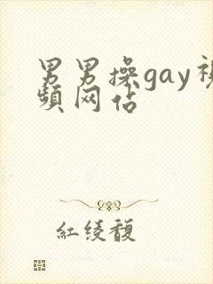 男男操gay视频网站