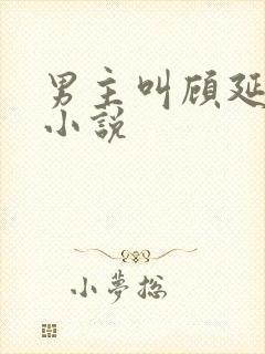 男主叫顾延川的小说