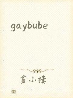 gaybube