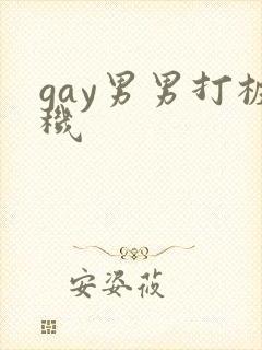 gay男男打桩机