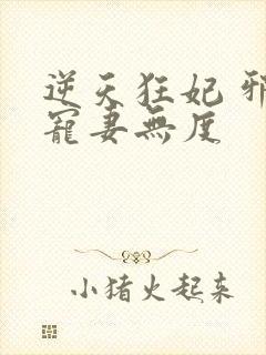 逆天狂妃 邪王宠妻无度