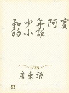 和少年阿宾一样的小说