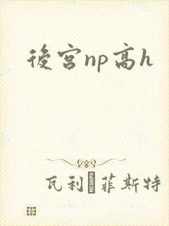 后宫np高h
