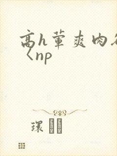 高h荤爽肉欲文〈np