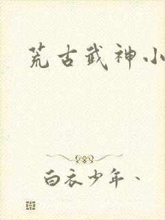 荒古武神小说