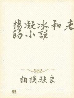 杨凝冰和老乞丐的小说