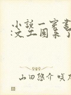 小说一穿书七零:文工团来了个大美人