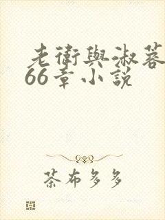 老卫与淑蓉全集66章小说