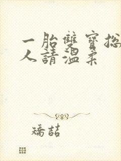 一胎双宝总裁大人请温柔