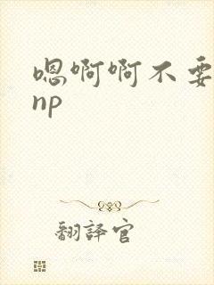 嗯啊啊不要高hnp