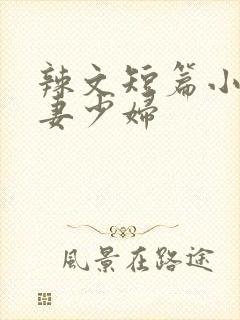 辣文短篇小说人妻少妇