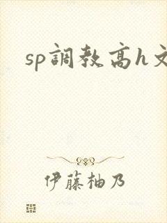 sp调教高h文封面
