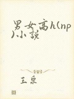 男女高h(np)小说