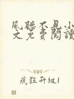 风听不见小说全文免费阅读最新章节封面